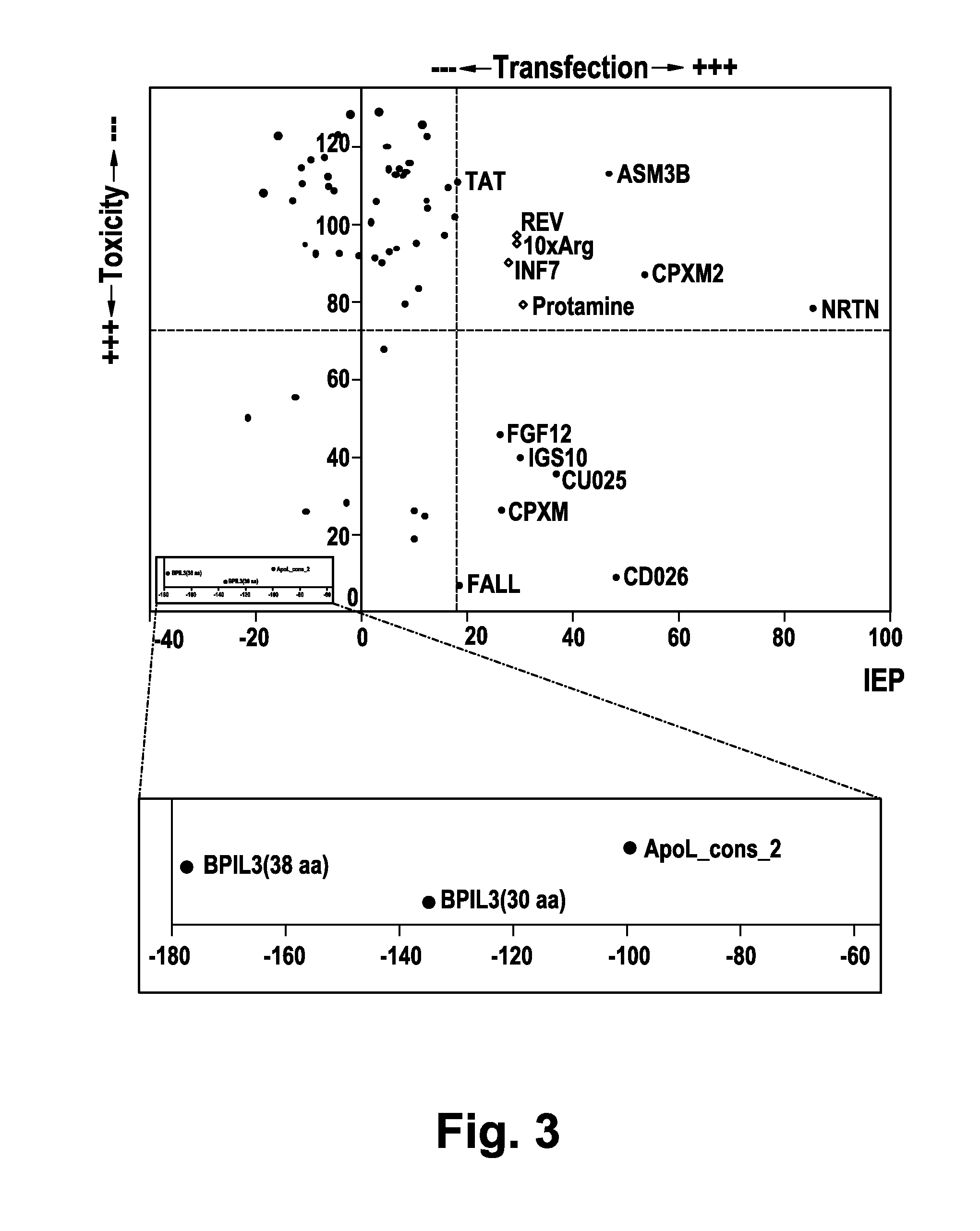 Cell-penetrating peptides and uses thereof