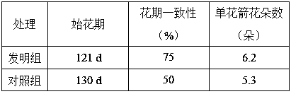 Method for regulating flowering period of cymbidium sinense