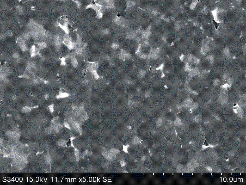 Boron carbide silicon carbide composite ceramic and preparation method thereof