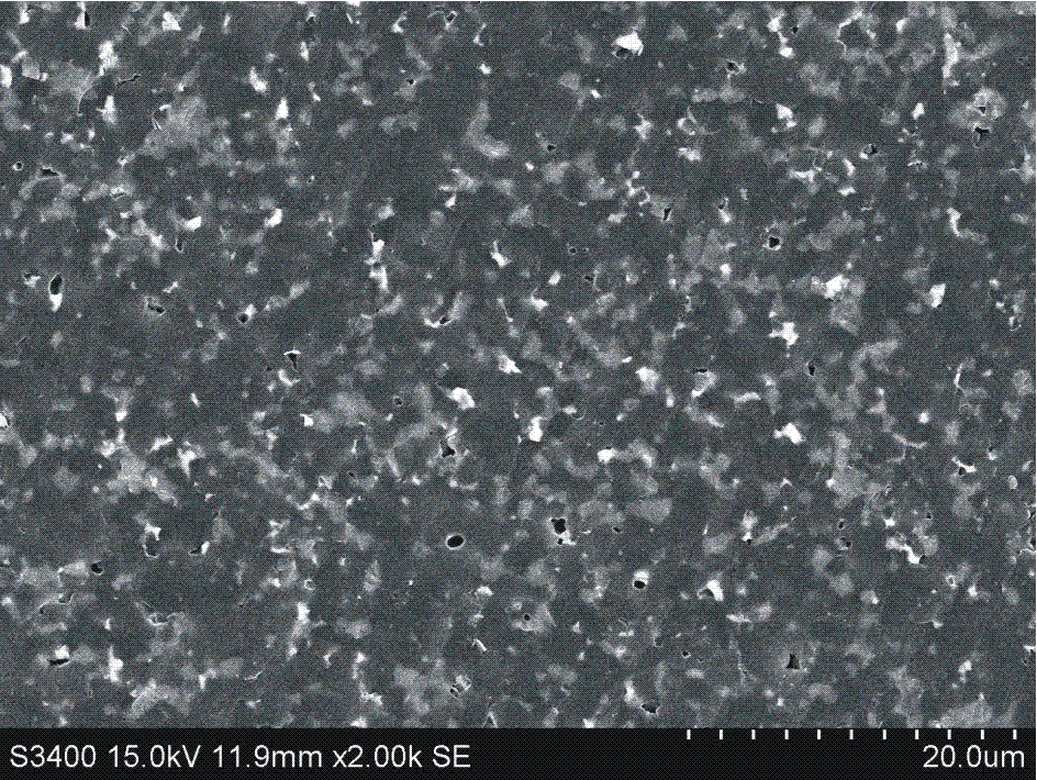 Boron carbide silicon carbide composite ceramic and preparation method thereof