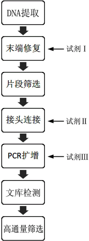 Construction method and application of small fragment DNA library based on ion ProtonTM sequencing platform