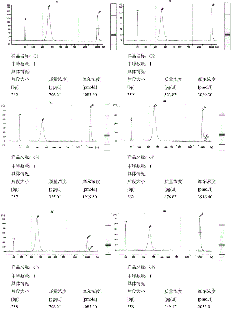 Construction method and application of small fragment DNA library based on ion ProtonTM sequencing platform