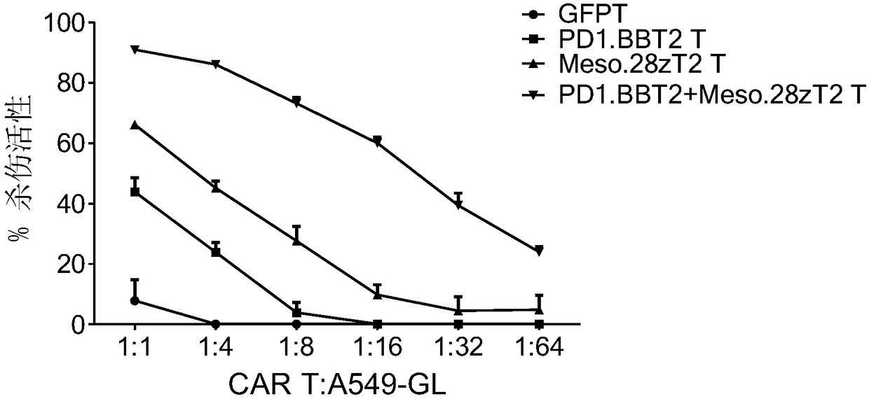 Chimeric antigen receptor immune cell as well as preparation method and application thereof