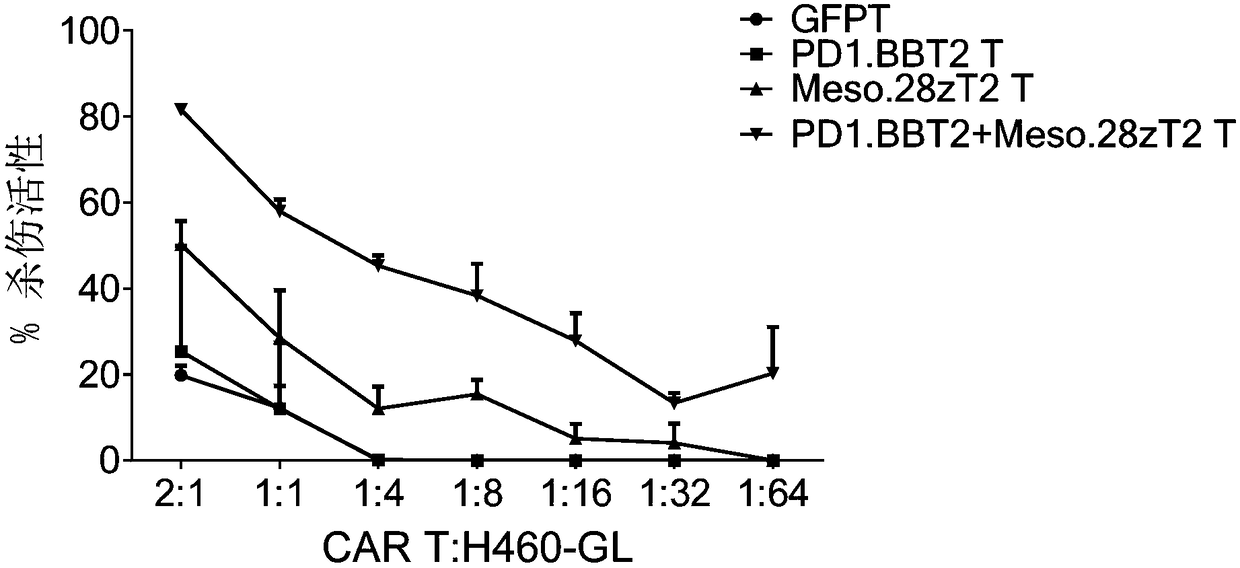 Chimeric antigen receptor immune cell as well as preparation method and application thereof