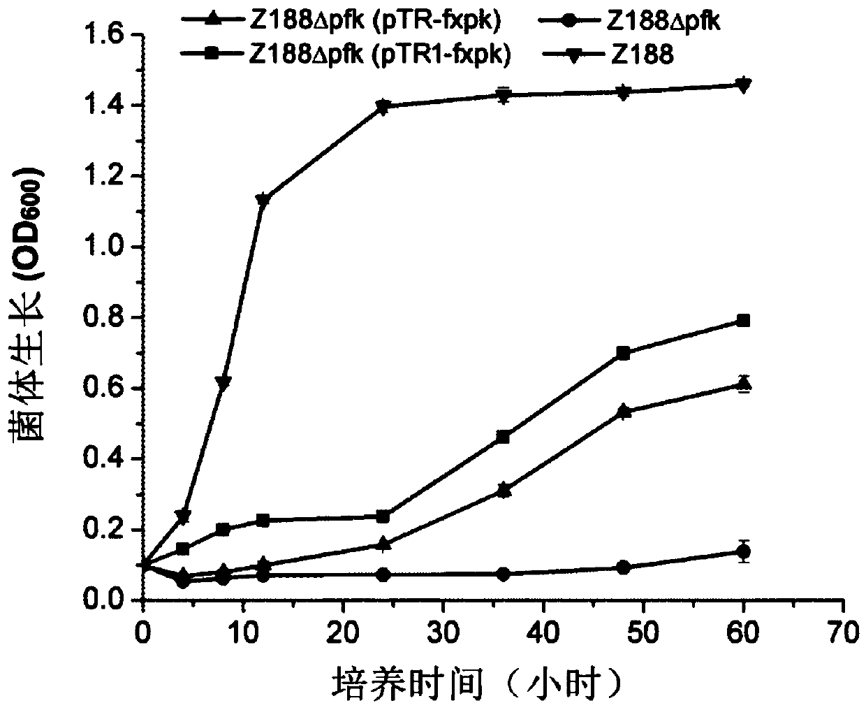 Phosphotransketolase with increased activity and its application in the production of metabolites