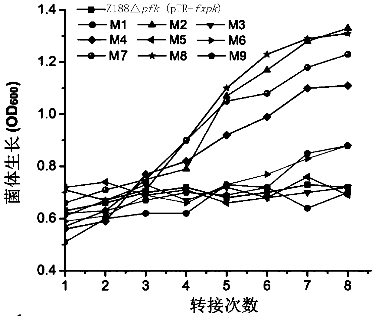 Phosphotransketolase with increased activity and its application in the production of metabolites