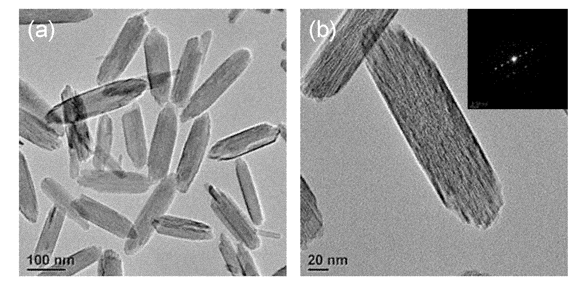 Hollow core-shell nanometer mesoporous medicament carrying system with magnetism and luminescent performance, preparation method and application thereof