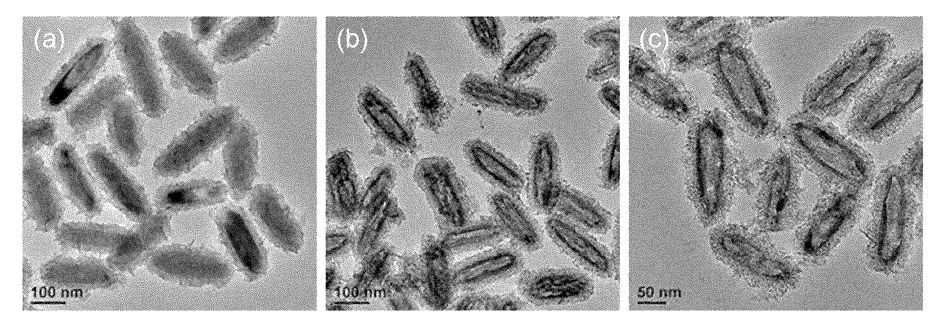 Hollow core-shell nanometer mesoporous medicament carrying system with magnetism and luminescent performance, preparation method and application thereof