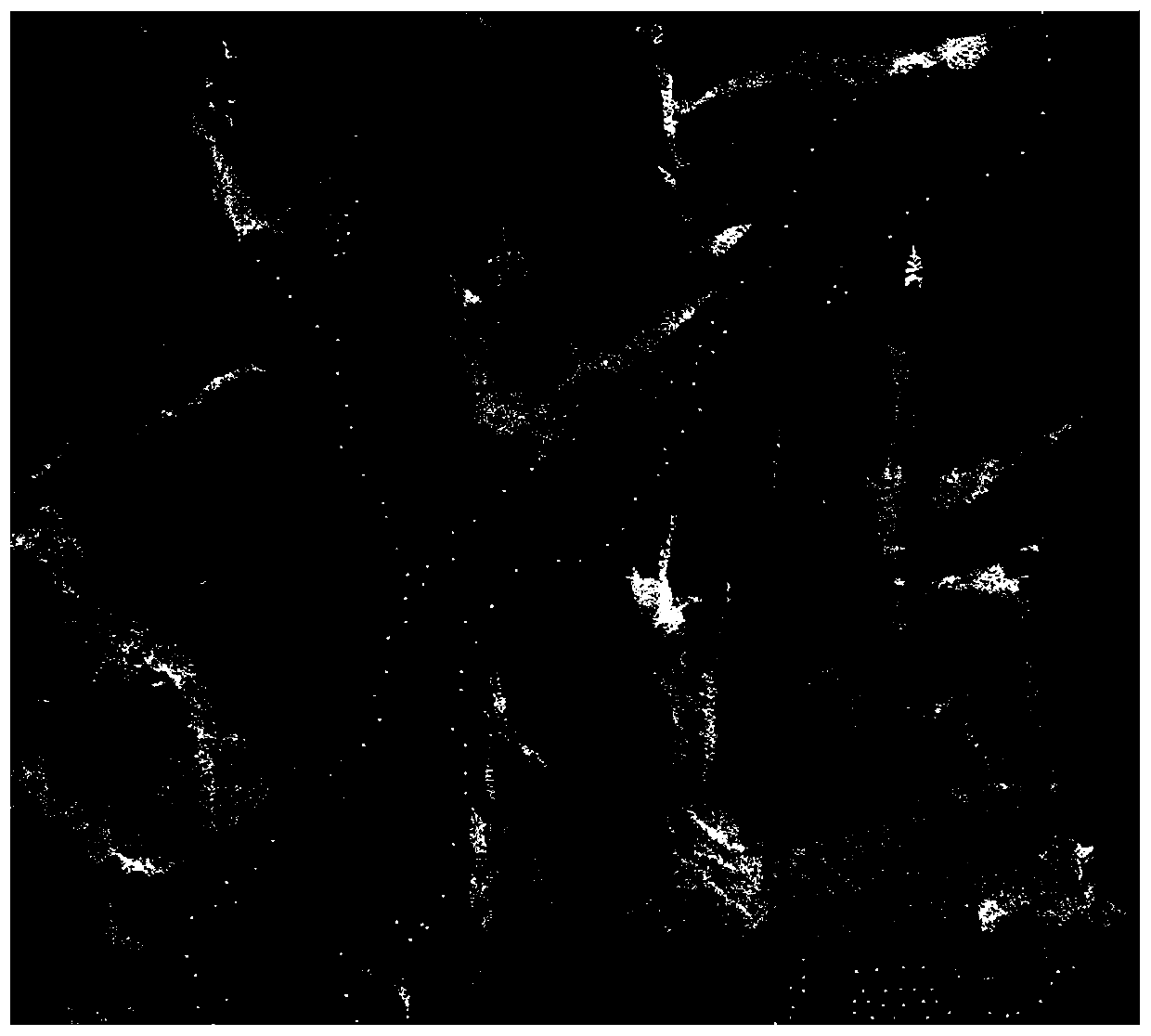 A Multi-angle SAR Image Fusion Method Based on Hue Statistical Classification