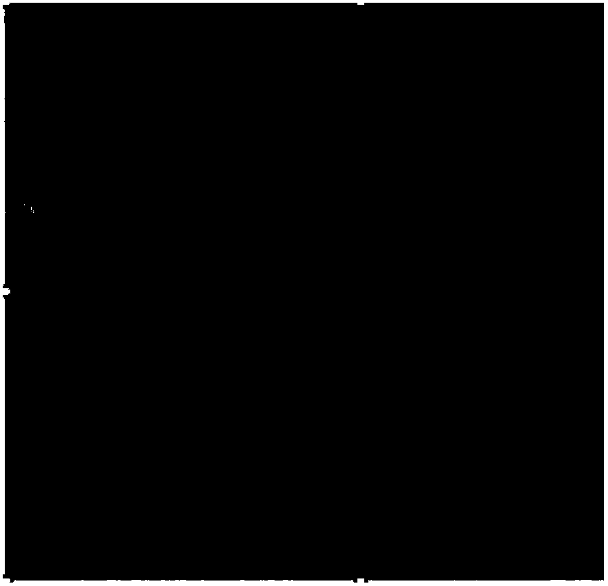 Preparation method for bacteriostatic seabuckthorn seed polypeptide