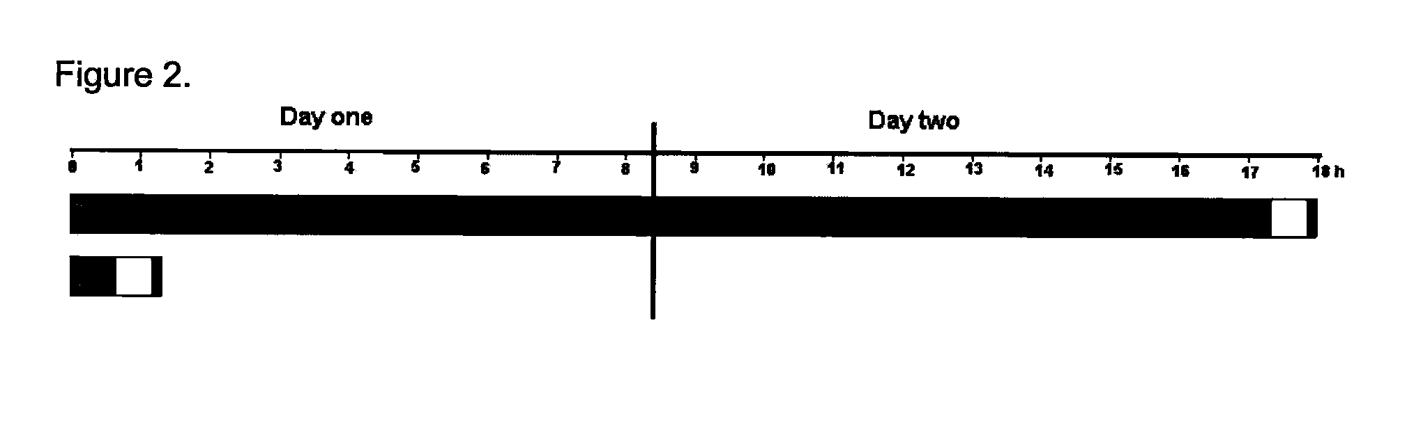 Hybridization Compositions and Methods