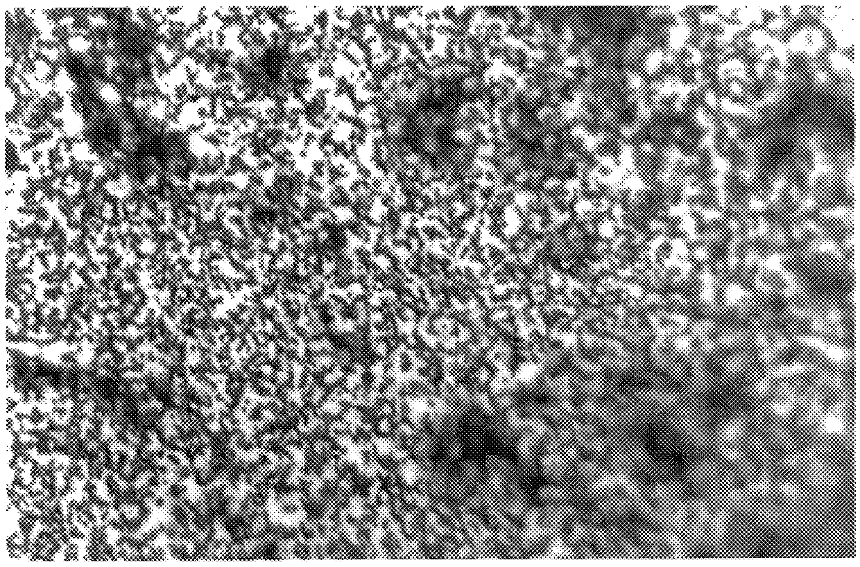 Titanium alloy based dispersion-strengthened composites