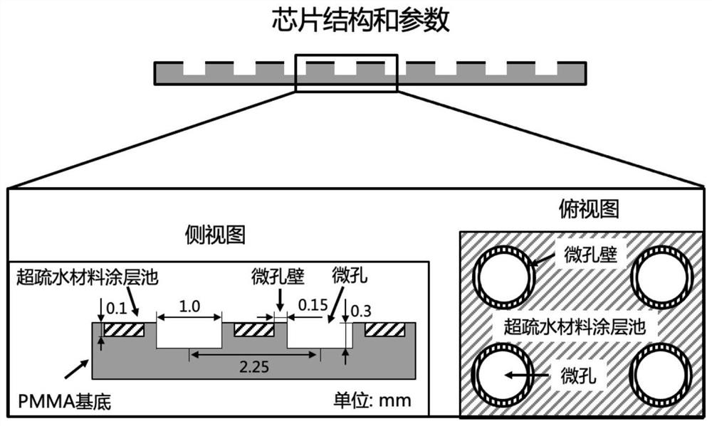 Method for preparing small-amount sample high-throughput chromatin co-immunoprecipitation sequencing sample