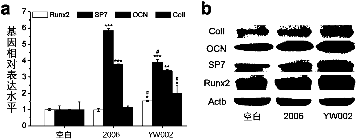 Application of oligonucleotide YW002 CpG ODN in preventing and treating periodontitis bone absorption