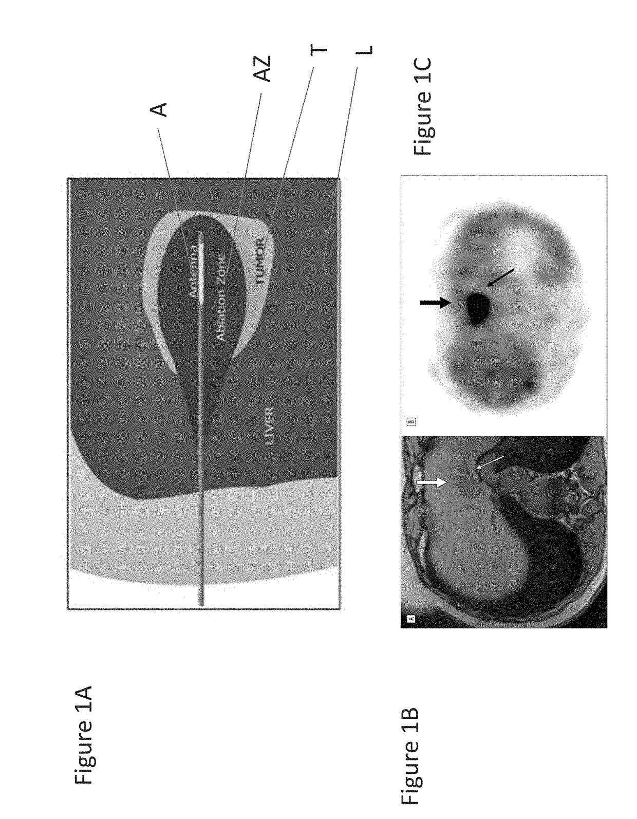 Thermal accelerant compositions and methods of use