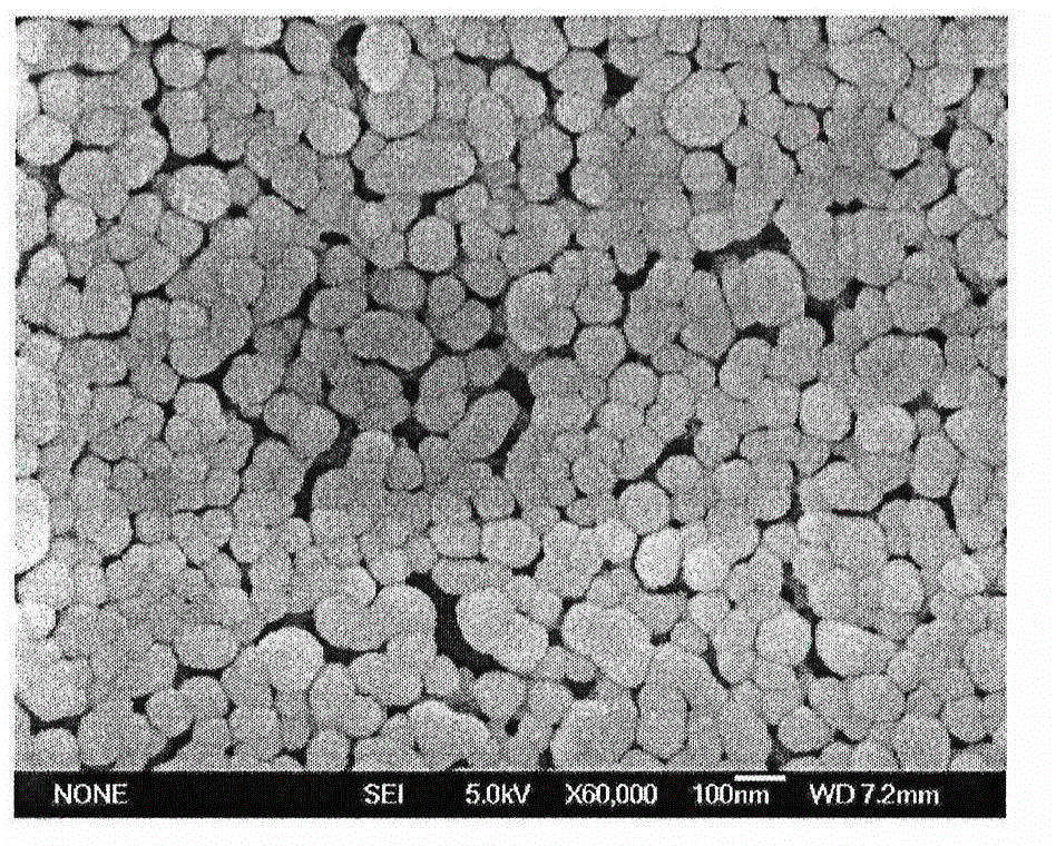 Preparation of antigen-loaded polymer lipid nanosphere and application as vaccine adjuvant