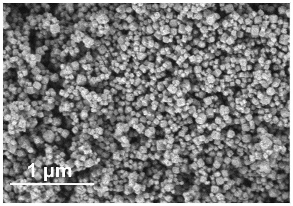 Preparation method of high-capacity nitrogen-doped carbon-coated SnOx quantum dot lithium ion battery negative electrode material