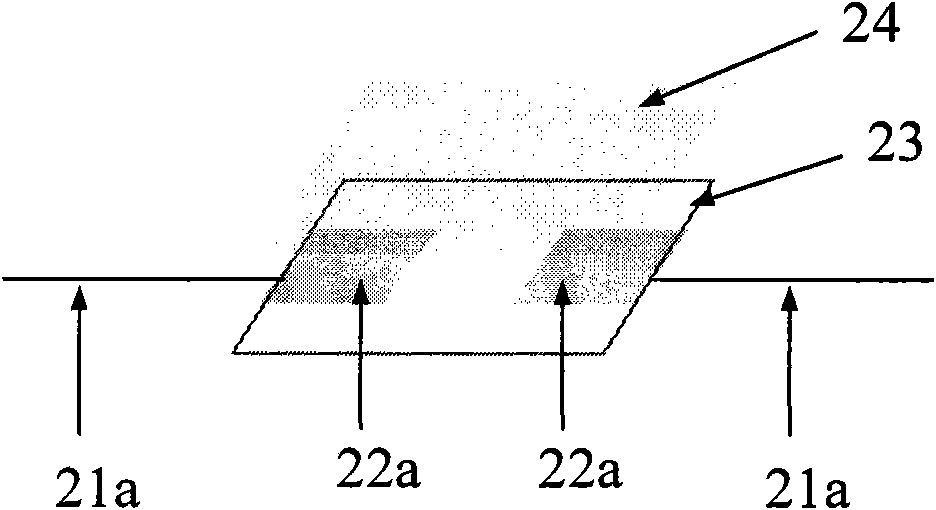 Carbon material dosimeter