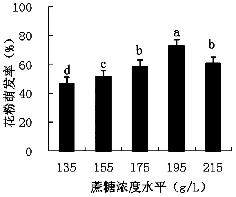 Culture medium for germination of tetraploid hemarthria compressa pollen