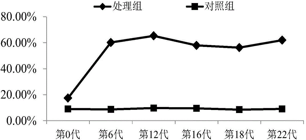 Saline-alkaline tolerant microbial flora and applications thereof