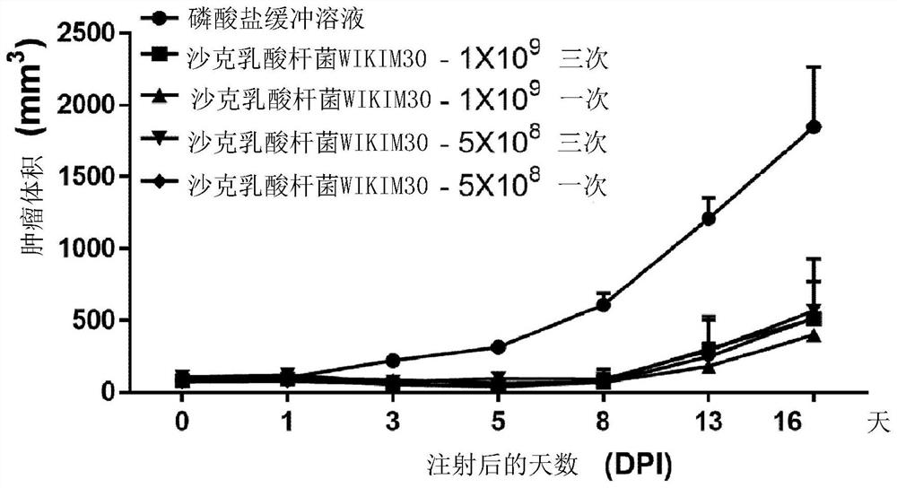 Pharmaceutical composition comprising lactobacillus sakei wikim30 as active ingredient for prevention or treatment of cancer