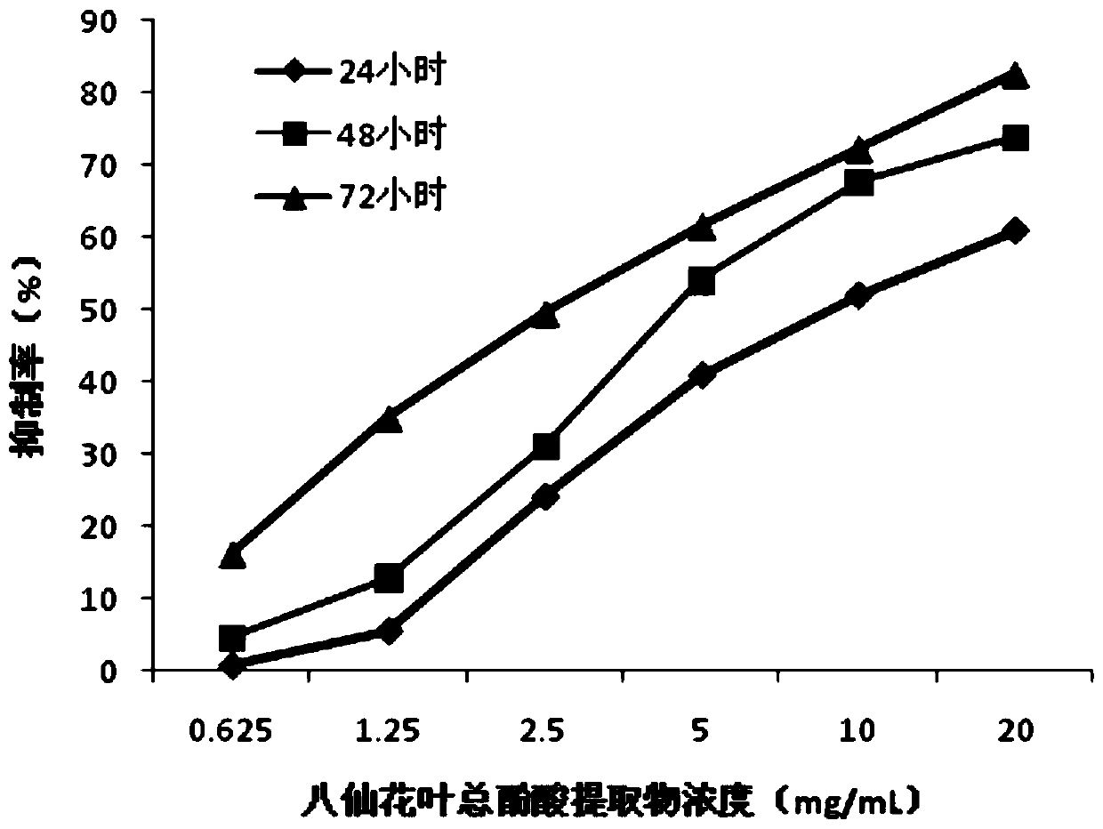 An eight immortal flower leaf extract and its drug composition, preparation method and application