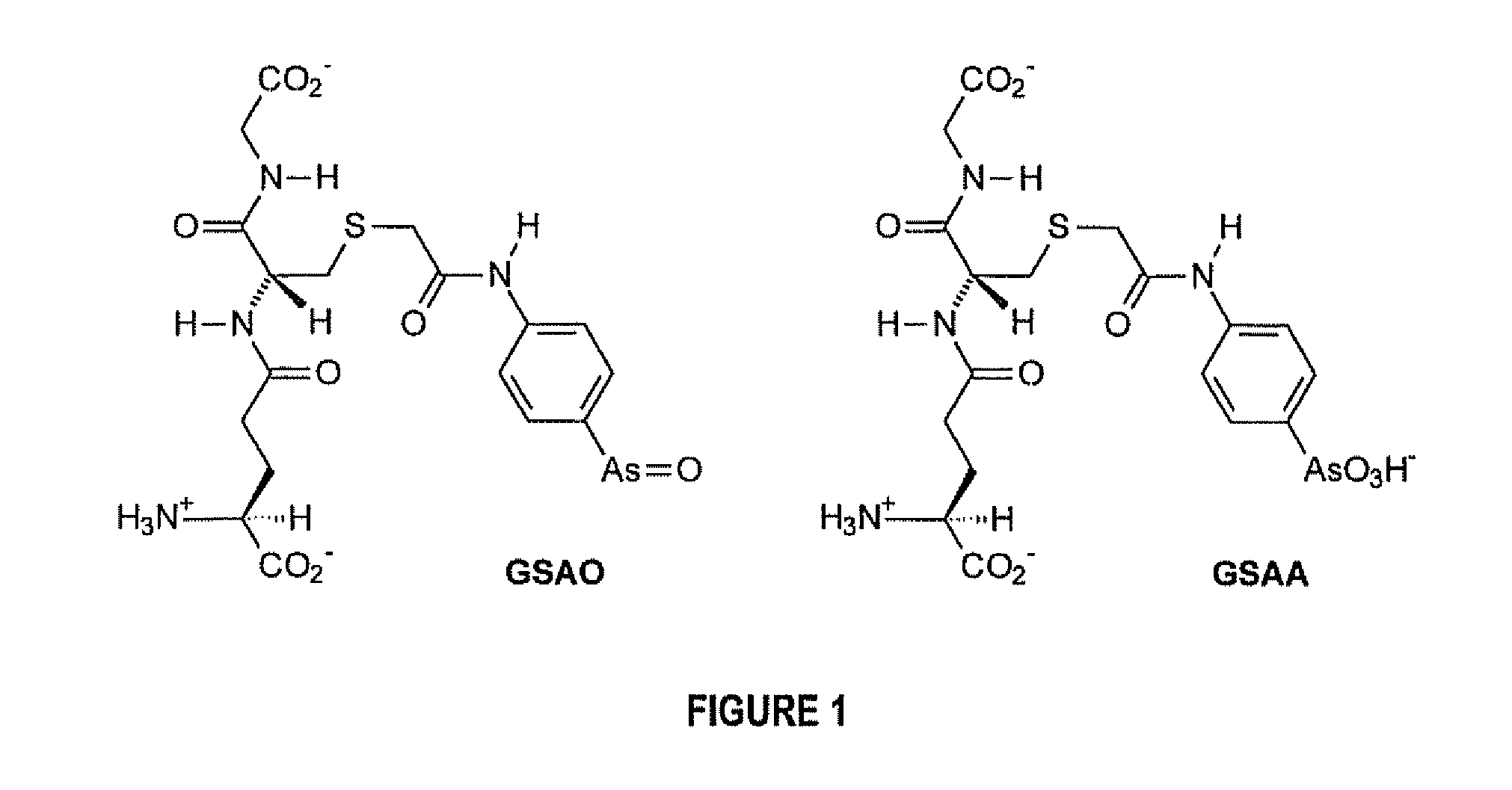 A Substantially Cell Membrane Impermeable Compound And Use Thereof