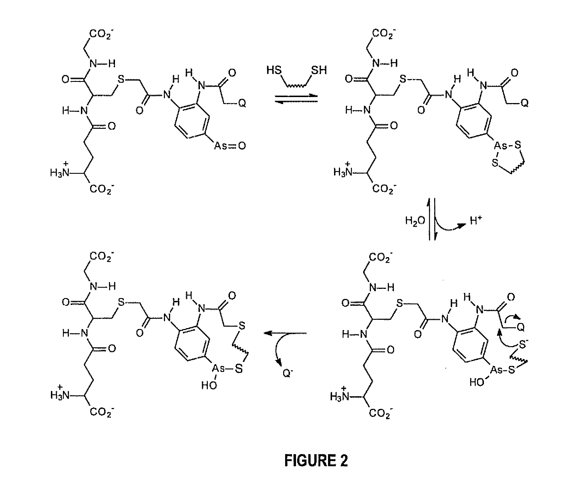 A Substantially Cell Membrane Impermeable Compound And Use Thereof