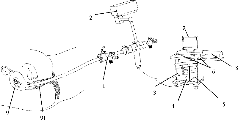 Novel three-dimensional electronic hysteroscopy system and use method thereof