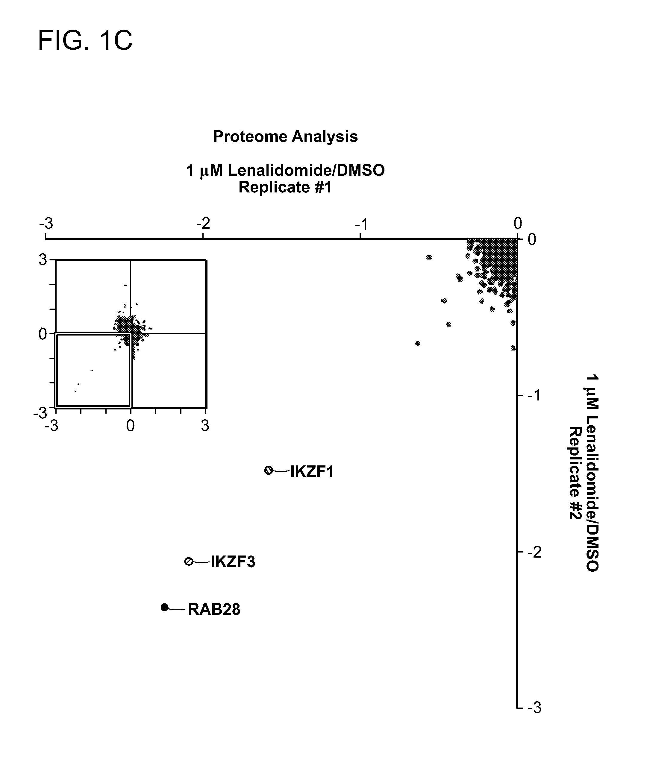 Compositions and methods for selecting a treatment for b-cell neoplasias