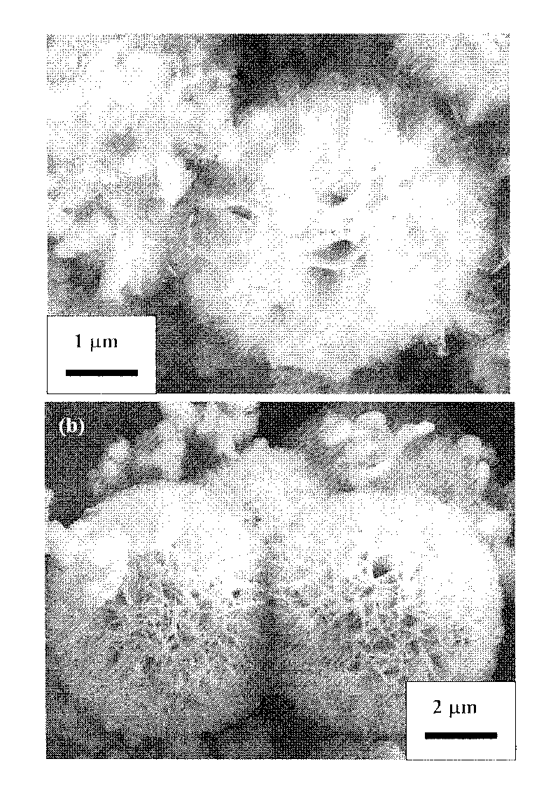 Surface active agent assisting alcohol-hydrothermal method for preparing anthoid BiVO4