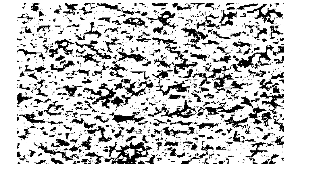 Light stream based vehicle motion state estimating method