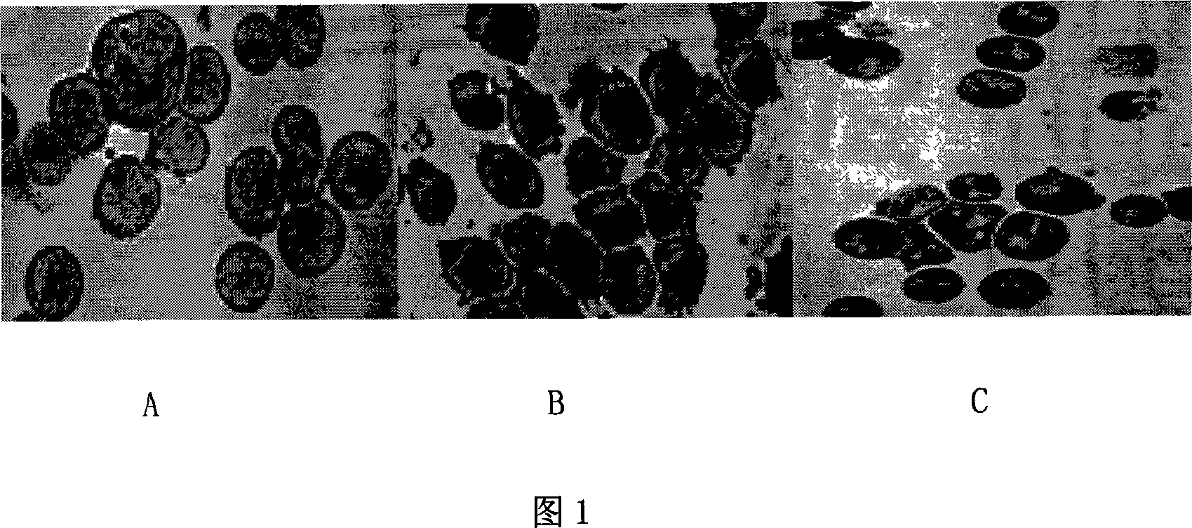 Application of As*O* combined with TSA in preparing medicament for inducing leukocythemia HL60 cell to convert from portion differentiation to terminal differentiation