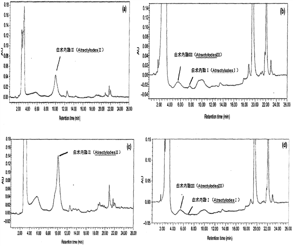 The new application of polysaccharides from chrysanthemi to promote the synthesis of atractylodes lactones in Atractylodes macrocephala