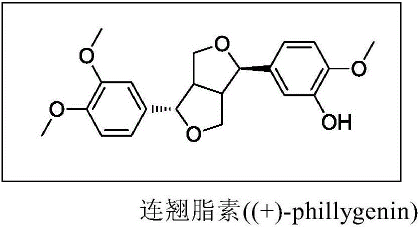 Application of phillyrin, phillyrin derivatives, and phillyrin-phillygenin composition in preparation of drugs for prevention or/and treatment of liver injury