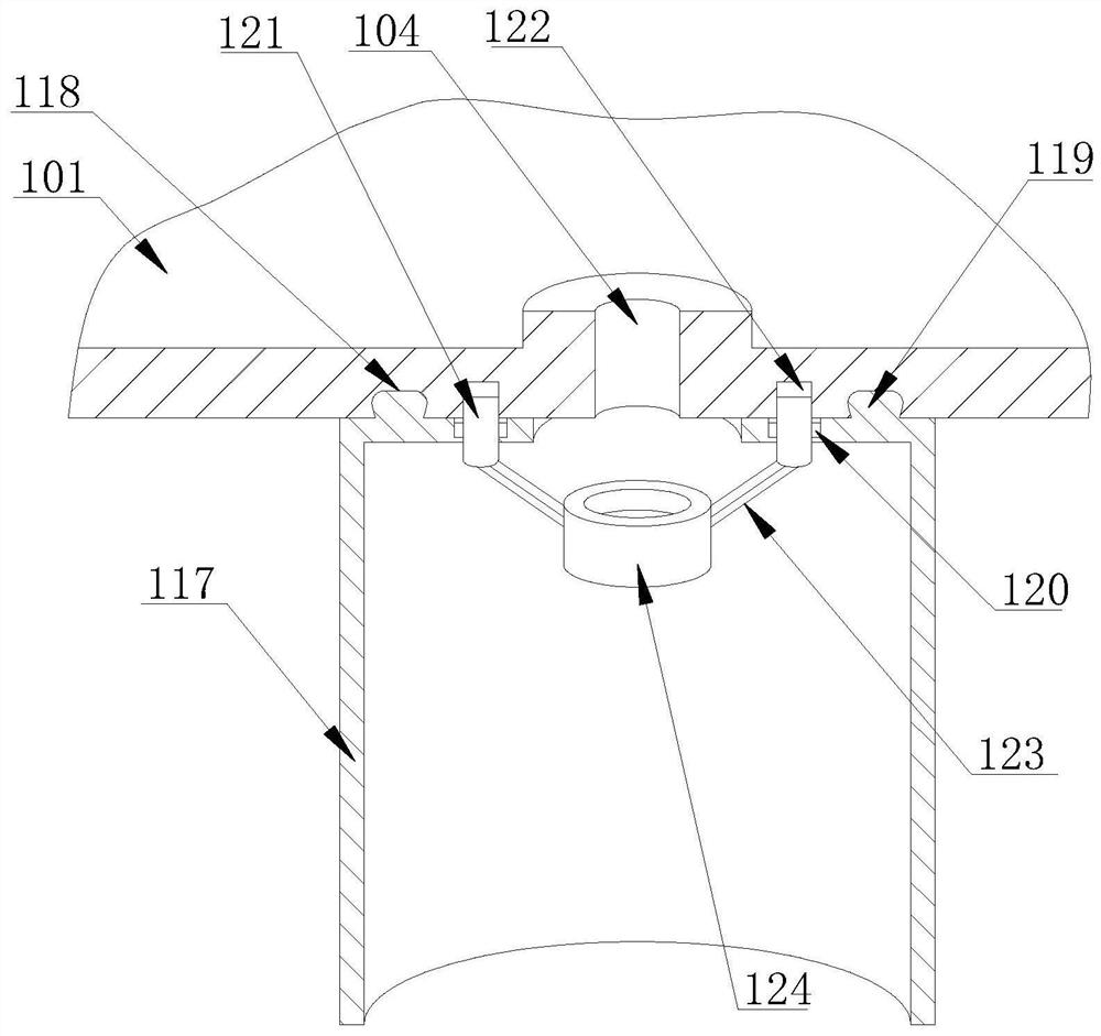 A field plant collection and preservation device for plant morphology identification