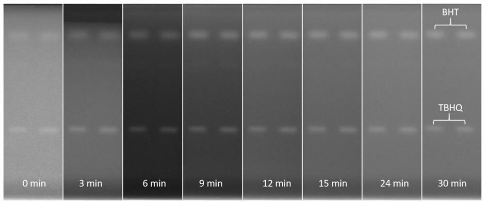 hptlc-biological imaging screening method for phenolic antioxidants synthesized from oils and fats
