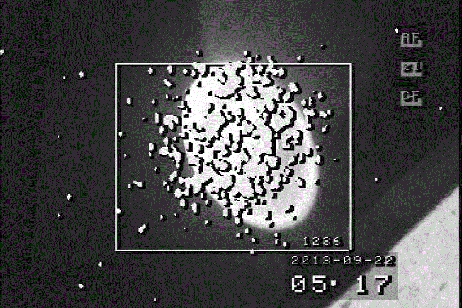 Rare earth ions doped fluoride matrix visible-ultraviolet upconversion luminescence material, preparation method therefor and application thereof