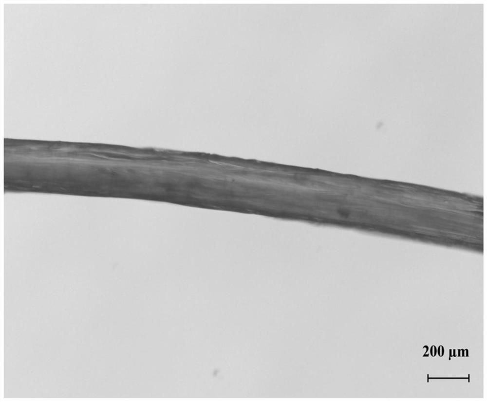 A size-controllable sodium alginate/polylysine self-assembled fiber