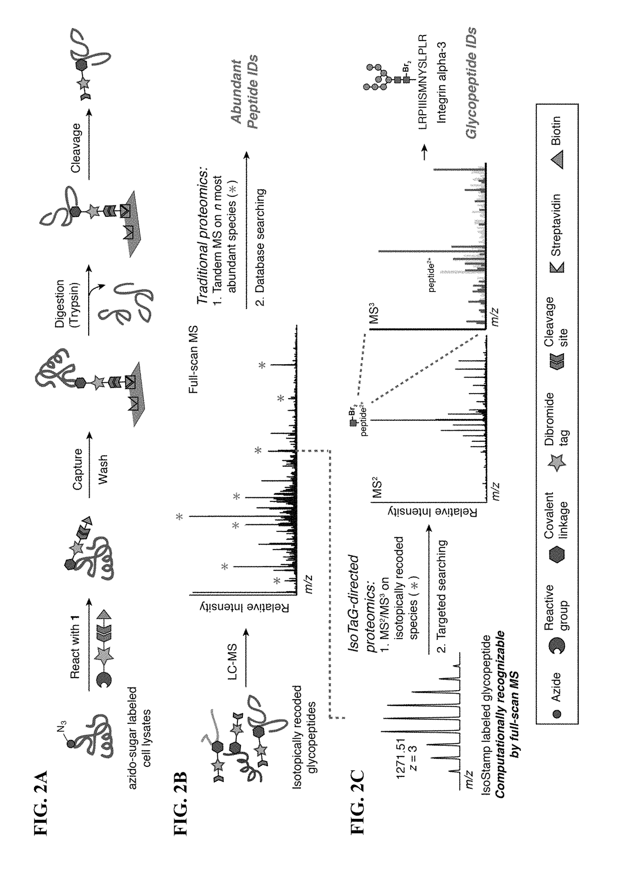 Cleavable probes for isotope targeted glycoproteomics and methods of using the same