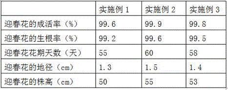 Method for carrying out raw soil greening on coastal beach saline and alkaline land by using cottonseed shell powder-containing salt absorbing agent