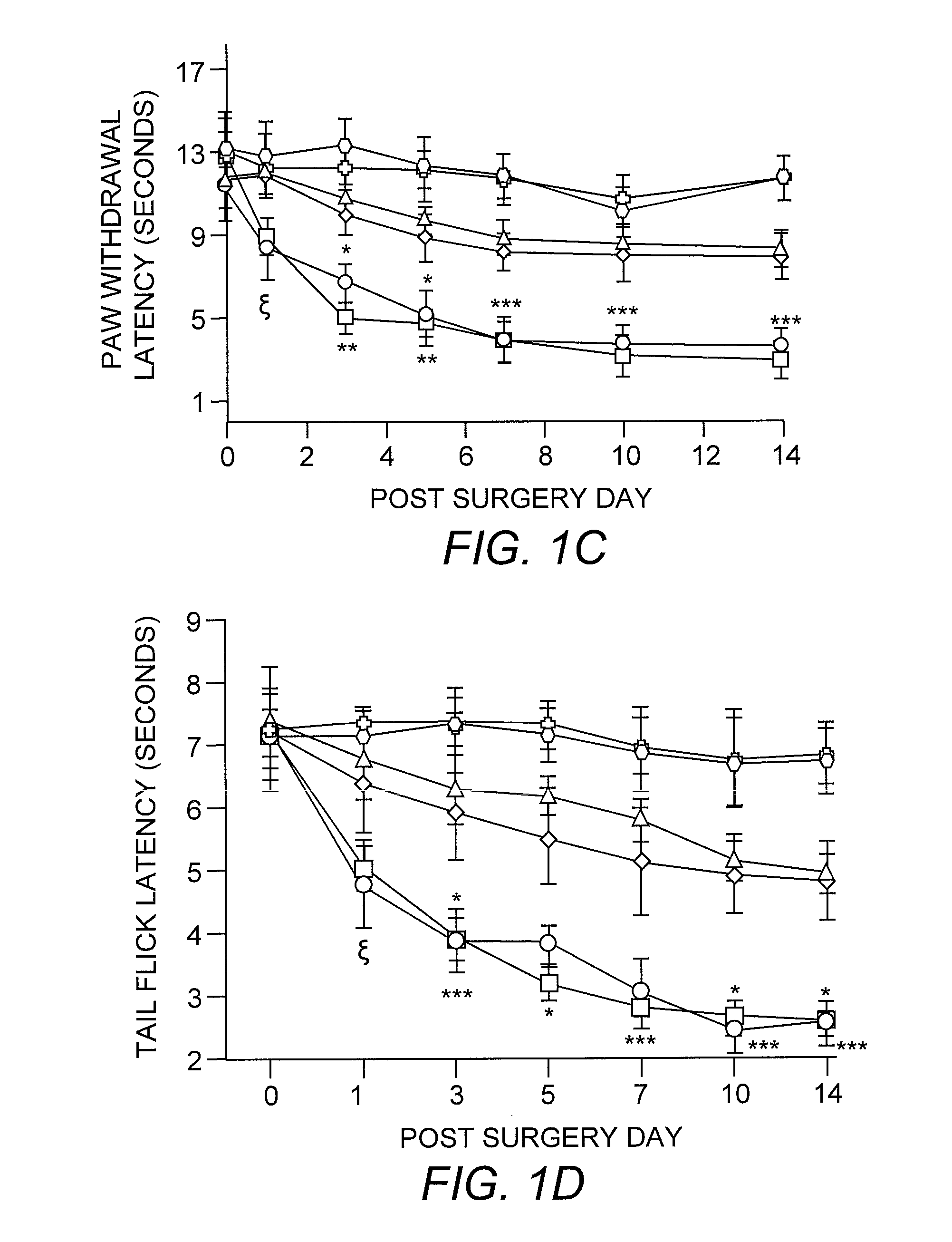 Method for preventing or treating neuropathic pain