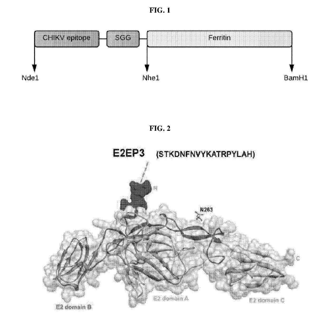 Nanocapsules carrying chikungunya-associated peptides