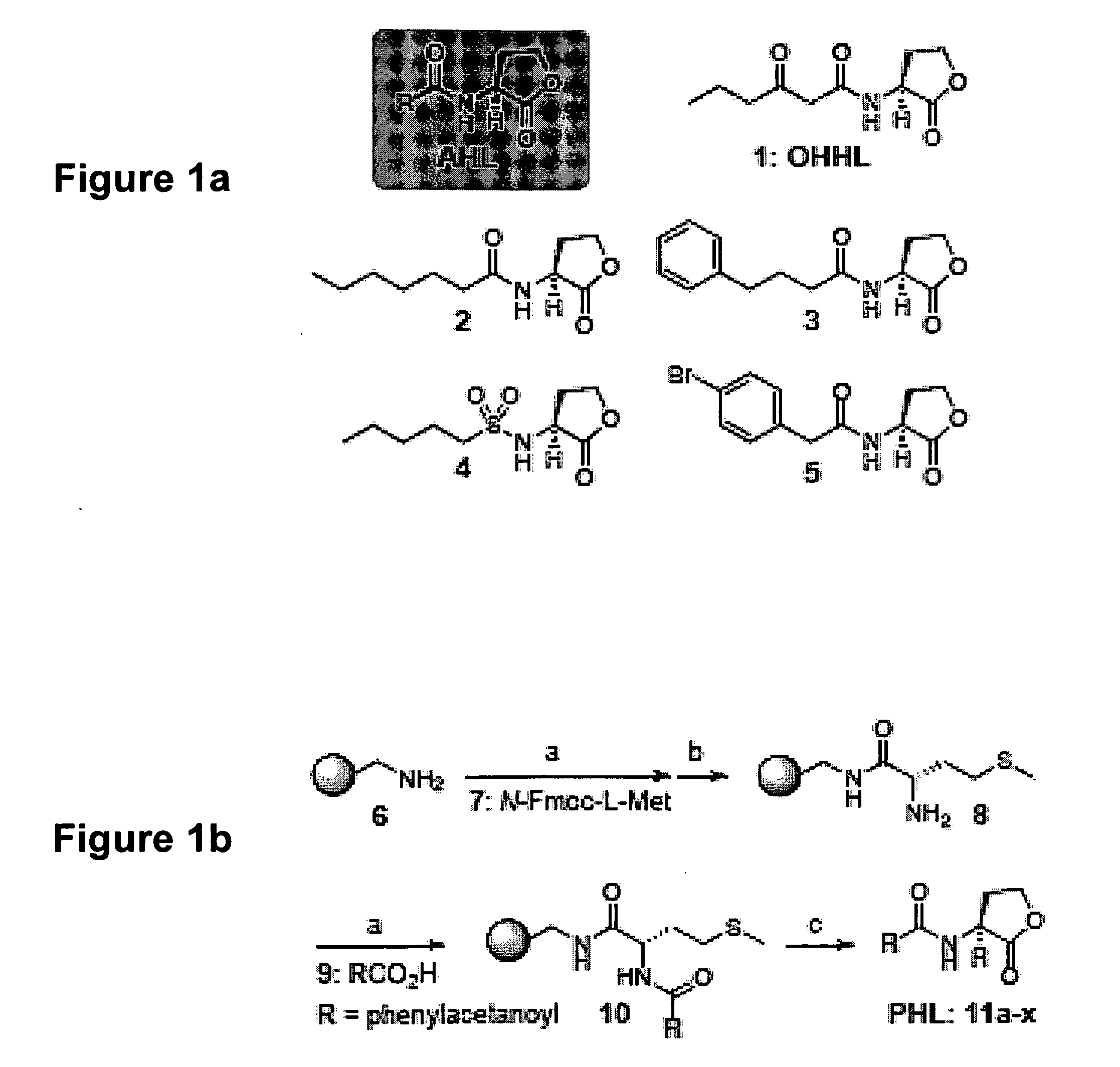 Modulation of Bacterial Quorum Sensing with Synthetic Ligands