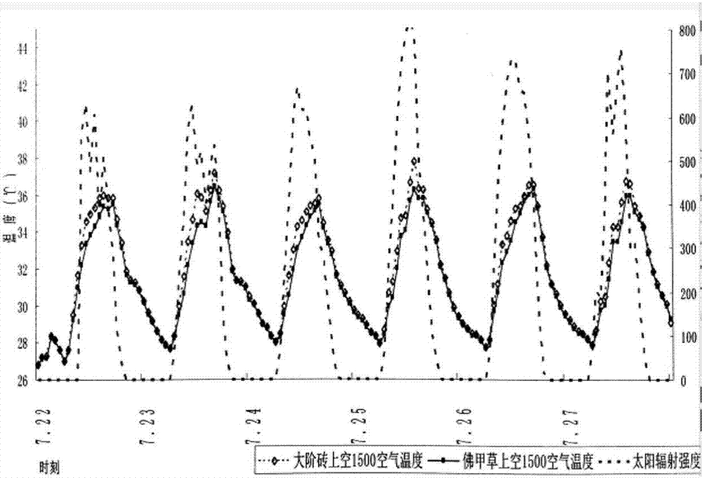 Roof greening method for co-building needle sedum lineare ecological carpet and solar battery panel