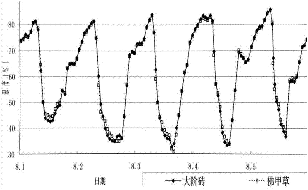 Roof greening method for co-building needle sedum lineare ecological carpet and solar battery panel