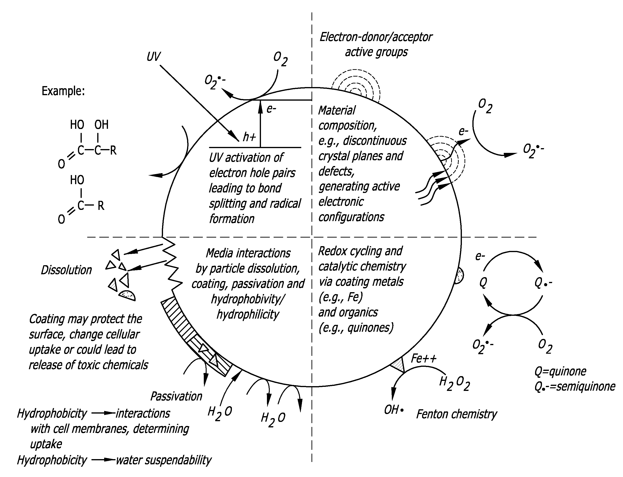 Accessing the Toxic Potential of Nanomaterials