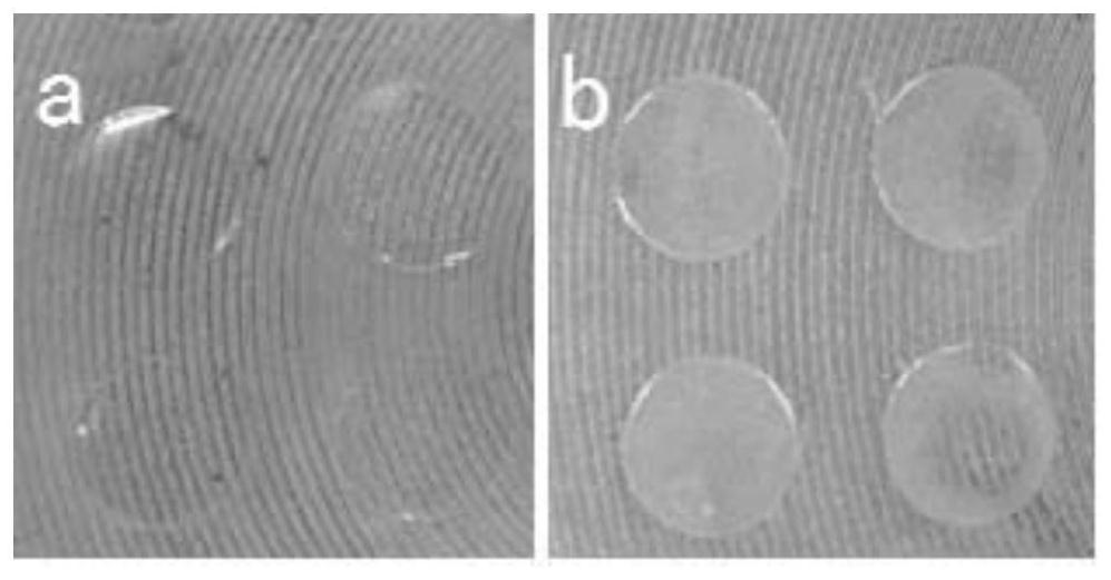 Sustained-release microneedle patch and preparation method thereof