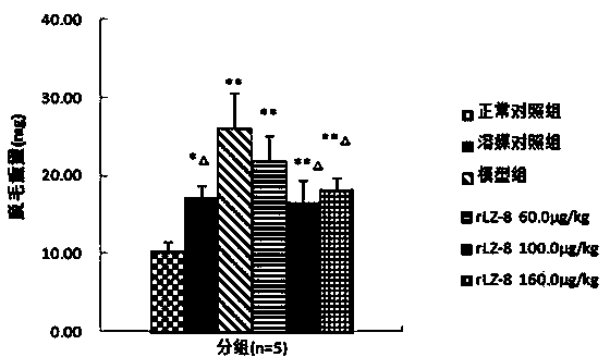 Application of recombinant ganoderma lucidum immunoregulatory protein in preparation of medicine for treating androgenetic alopecia