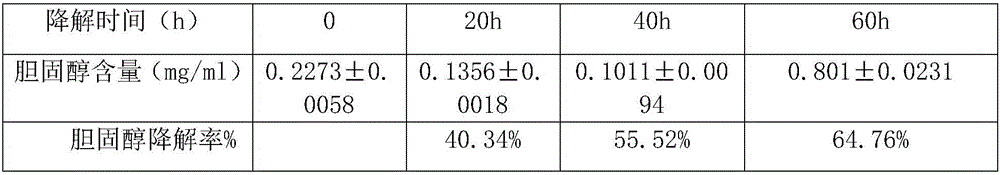 Plant extract composition for children with eczema and application of plant extract composition in cosmetics